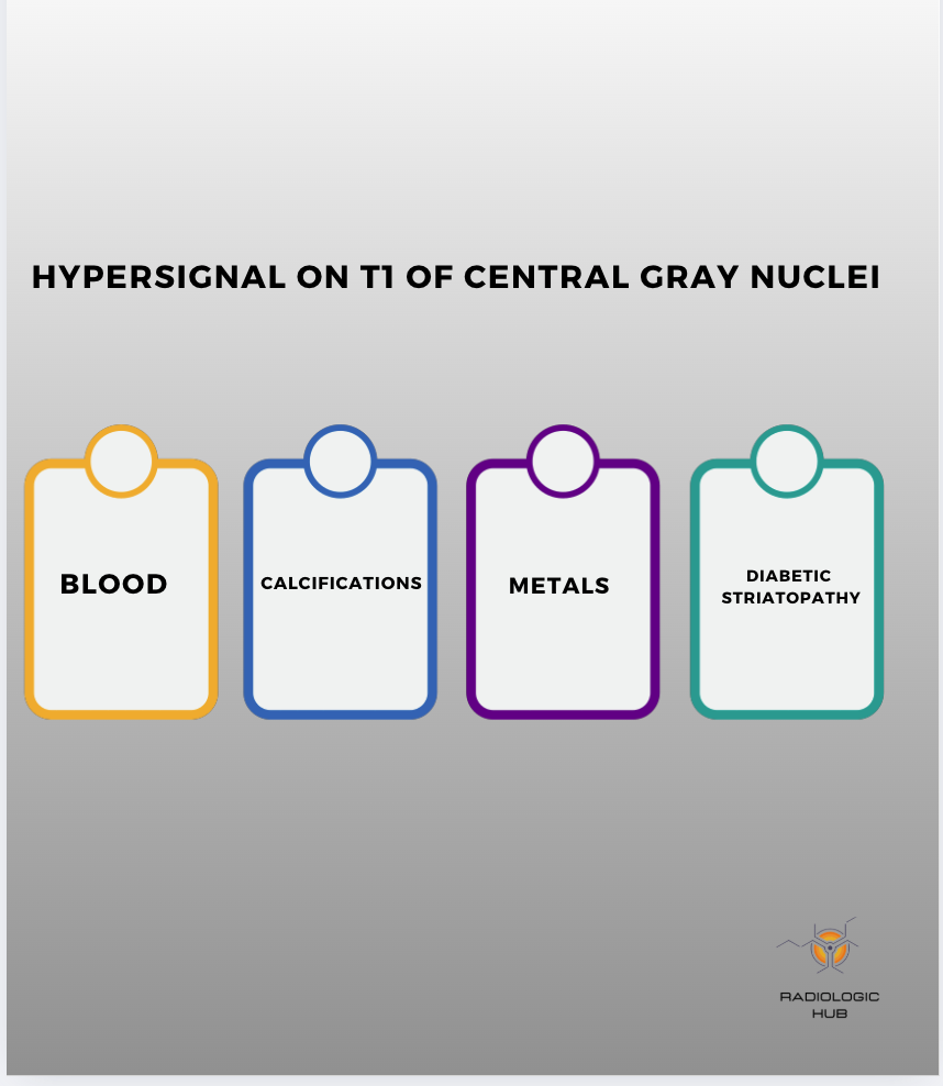 Fiche : hypersignal T1 des noyaux gris centraux